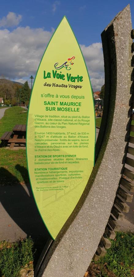 Au Bonheur Fait Maison Bed & Breakfast Saint-Maurice-sur-Moselle Ngoại thất bức ảnh